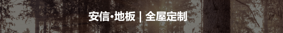 工程案例 安信地板携手ARK入住DELVAUX韩国首尔店探索奢华精致美学浩瀚体育(图5)