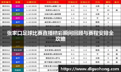 张家口足球比赛直播精彩瞬间回顾与赛程安排全攻略